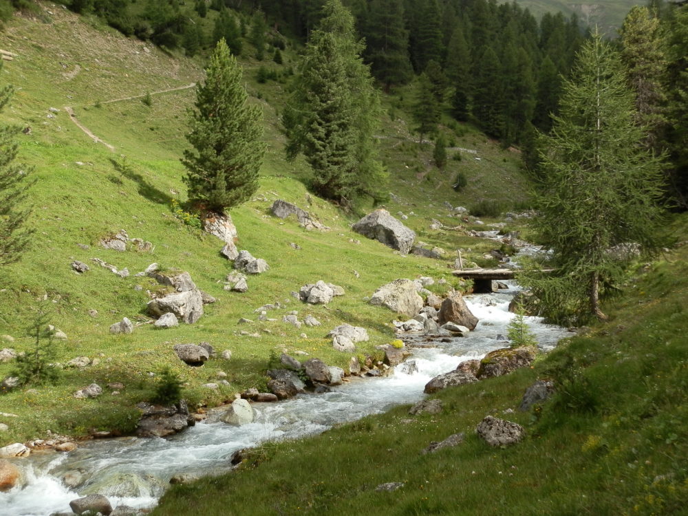 randonnée trekking parc national suisse
